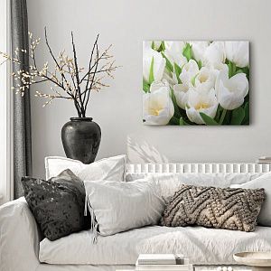 Белые тюльпаны