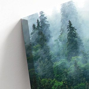 Туманный Лес