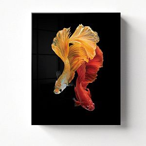 Сиамские рыбки