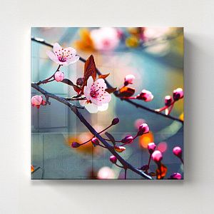 Японская вишня