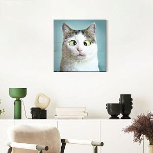 Веселый кот