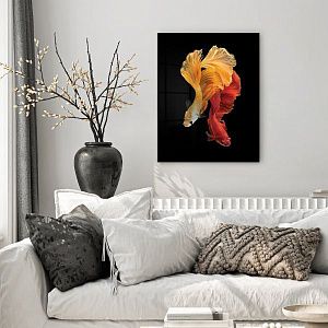 Сиамские рыбки