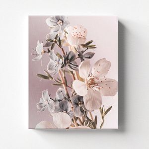 Розовые цветы