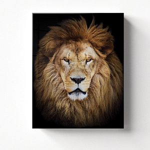 Африканский лев