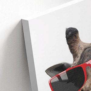 Жираф в очках