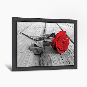 Красная роза