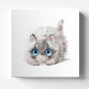 Игривый котик