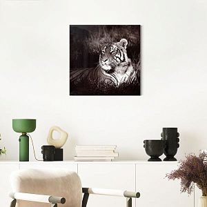 Бенгальский тигр