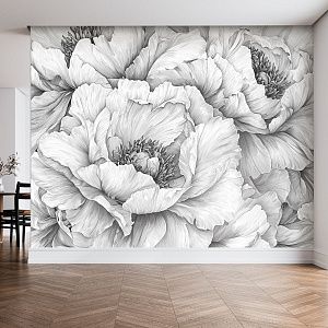 Черно-белые пионы