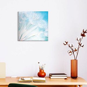 Одуванчики