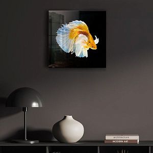 Сиамская желтая рыбка