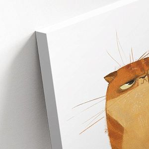 Внимательный кот