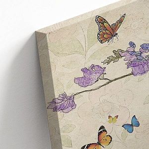 Ароматы Прованса