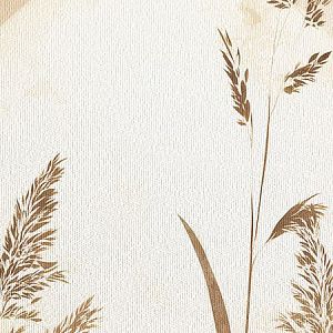 Пампасская трава