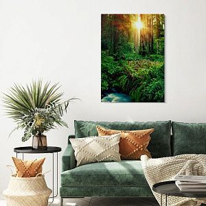 Закатный лес