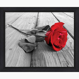 Красная роза