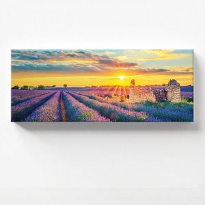 Лавандовые поля