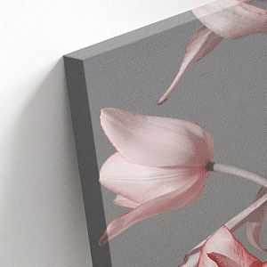 Розовые цветы