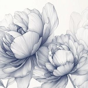 Минималистичная композиция с пионами