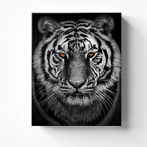 Амурский тигр