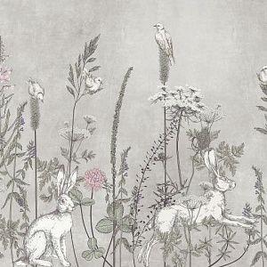 Белые кролики