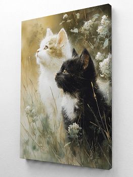 Котята