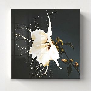 Белый цветок