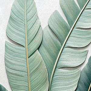 Банановые листья