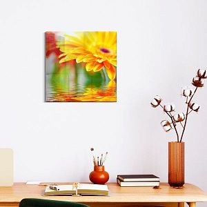 Желтая гербера