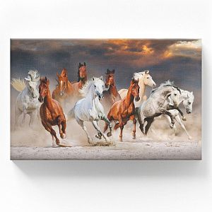 Табун лошадей