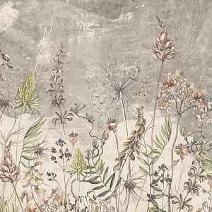 Полевые цветы