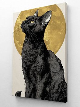 Чёрный кот