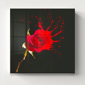 Красная роза