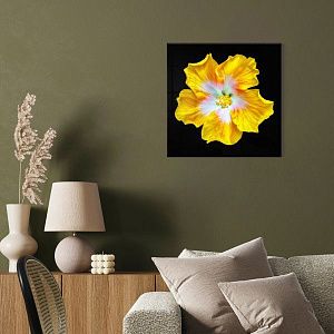 Цветочная фантазия