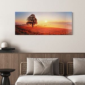 Закатный пейзаж