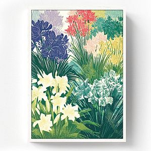 Цветение ирисов