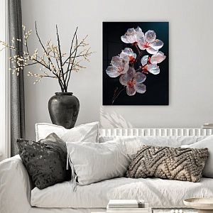 Хрустальная вишня