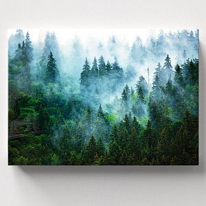 Туманный лес