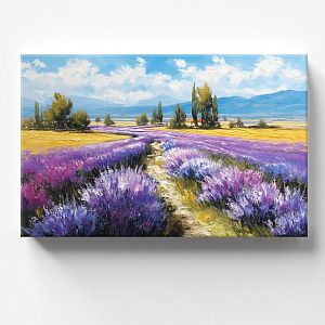 Лавандовое поле