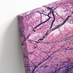 Парк с Сакурой