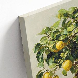 Лимонное дерево