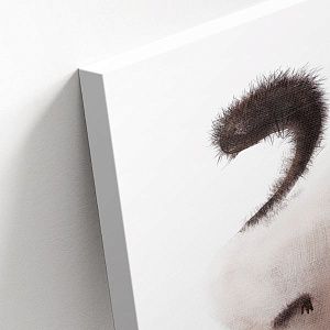 Пушистый кот с рыбкой