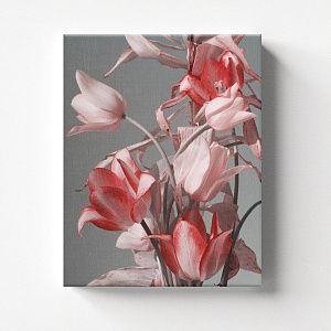 Розовые цветы