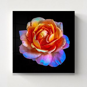 Цветочная фантазия