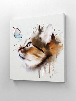 Кот и бабочка