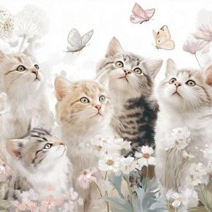 Нежные котята