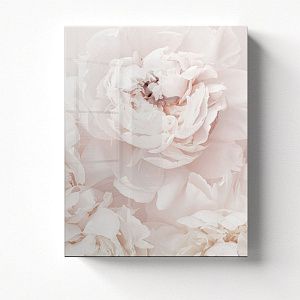 Белые пионы