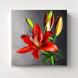 Красная лилия