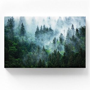 Туманный Лес