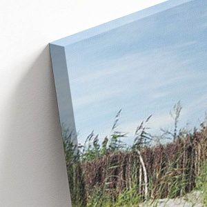 Путь на пляже дюны Балтийского моря